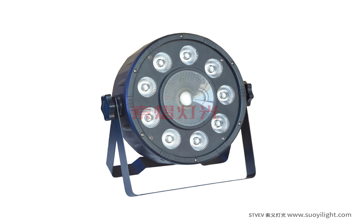 Chicago9+1 LED Plastic Par Light manufacturer