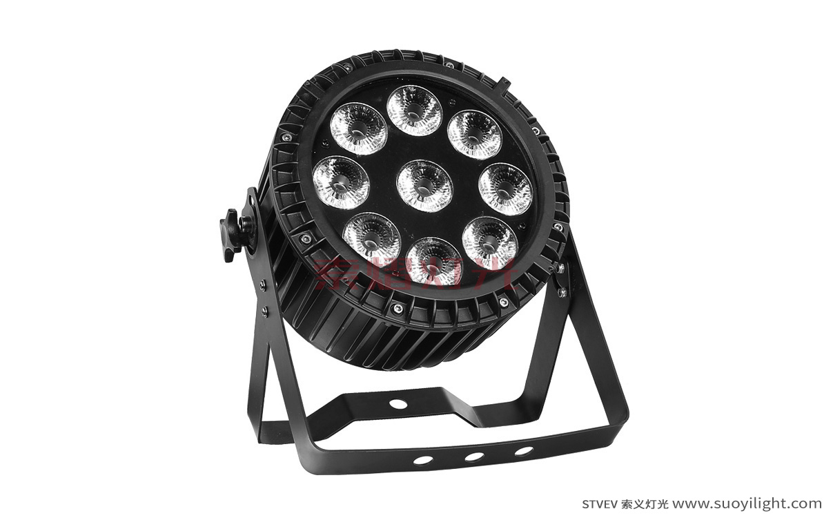 Chicago9*12W 4 in 1 Waterproof LED Par Light manufacturer