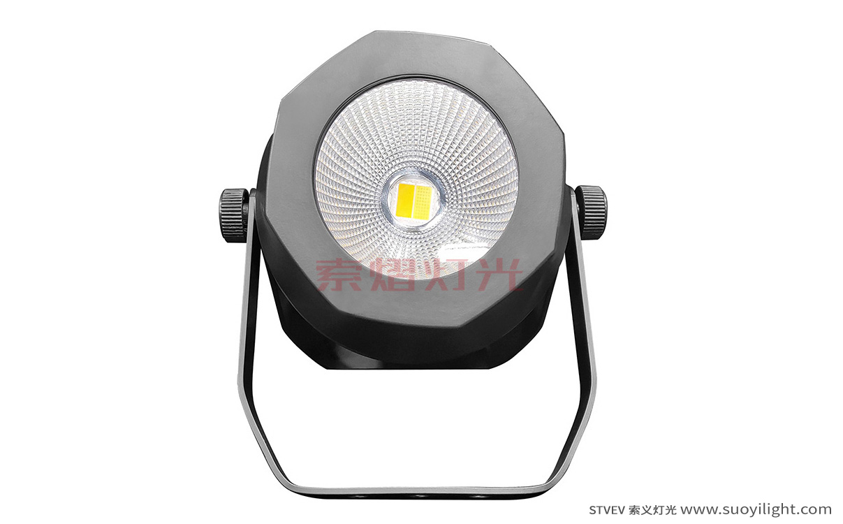 Chicago200W Waterproof COB Par Light